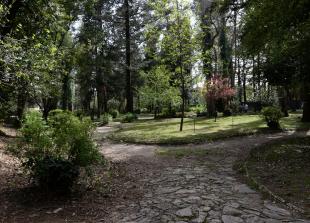 Foto: Općina Tivat